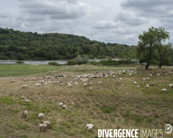 La Loire