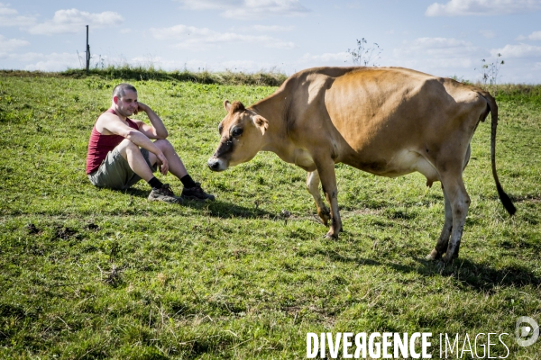 Elevage de Vaches laitieres BIO en Bourgogne