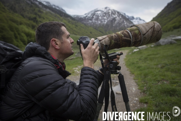 Mathieu Pujol Photographe animalier