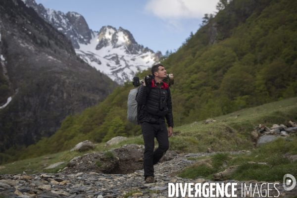 Mathieu Pujol Photographe animalier