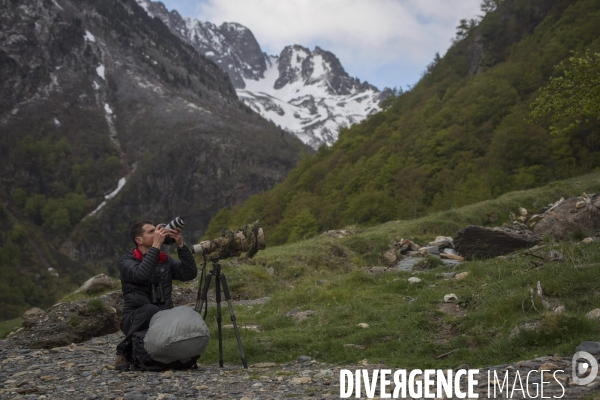 Mathieu Pujol Photographe animalier