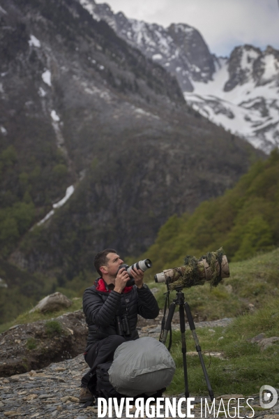 Mathieu Pujol Photographe animalier