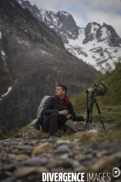 Mathieu Pujol Photographe animalier