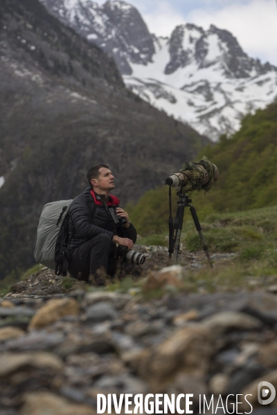 Mathieu Pujol Photographe animalier