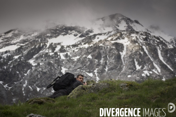 Mathieu Pujol Photographe animalier