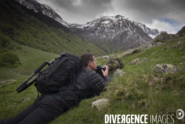 Mathieu Pujol Photographe animalier