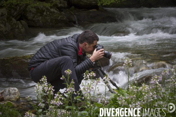 Mathieu Pujol Photographe animalier