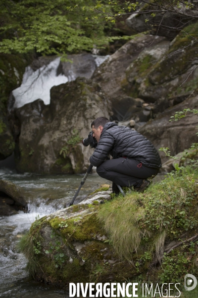 Mathieu Pujol Photographe animalier