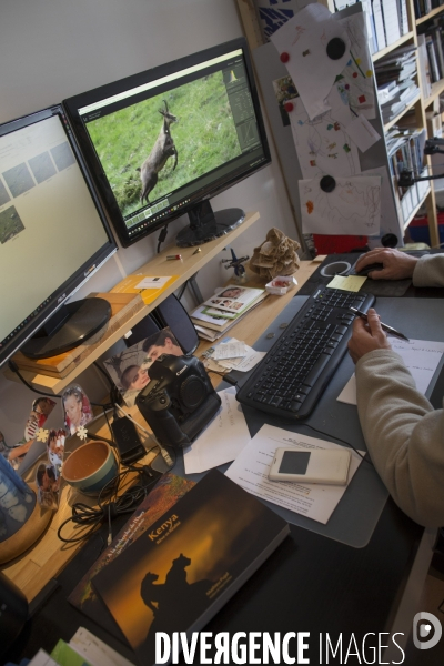 Mathieu Pujol Photographe animalier