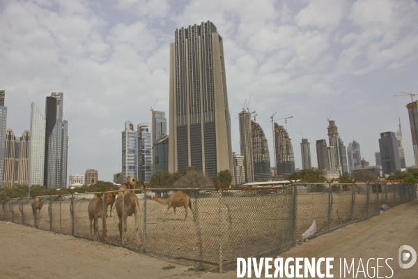 Dubai en temps de crise