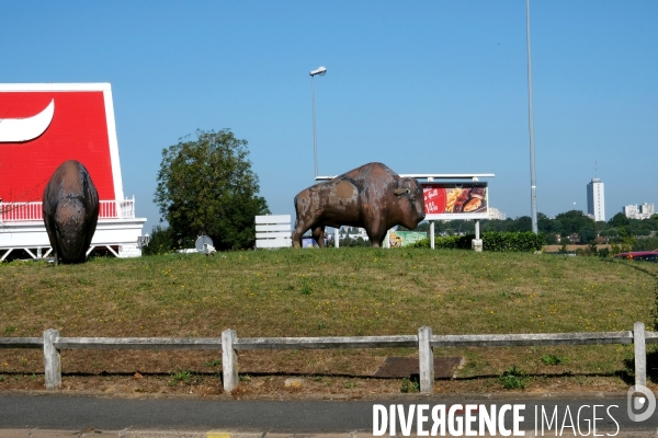 Banlieue.Des bisons sur la route nationale 4 a la Queue en Brie