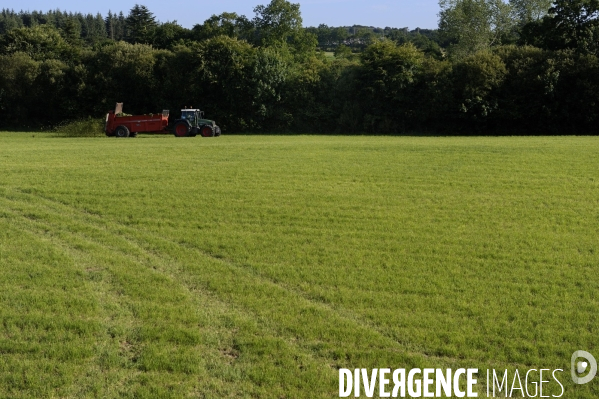 Ramassage des algues vertes