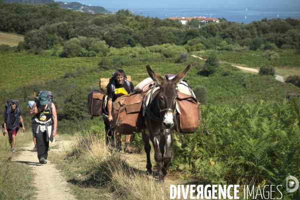 Les Pyrénées Au Pas de l Ane..