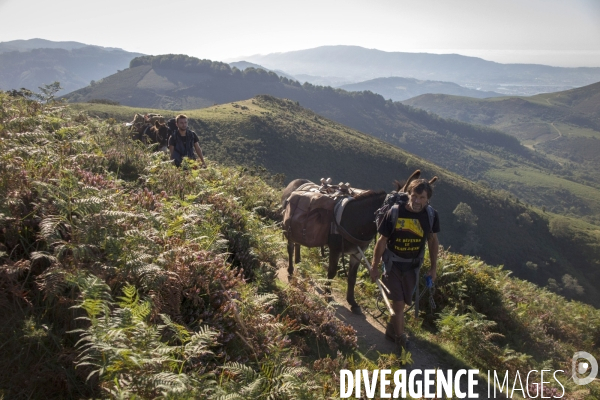 Les Pyrénées Au Pas de l Ane..