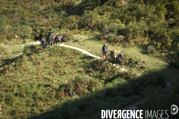 Les Pyrénées Au Pas de l Ane..