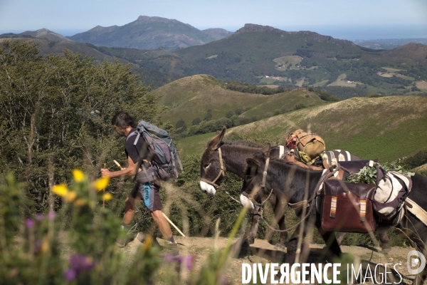 Les Pyrénées Au Pas de l Ane..