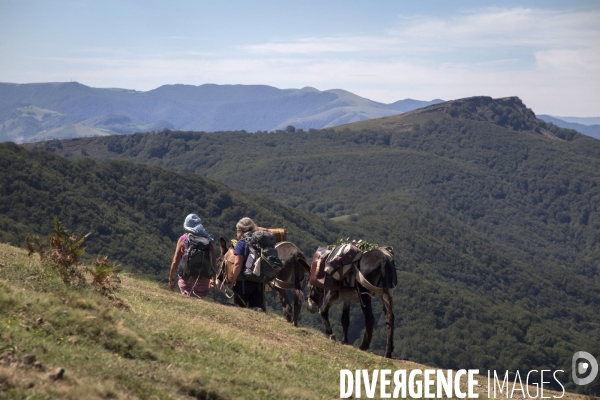 Les Pyrénées Au Pas de l Ane..