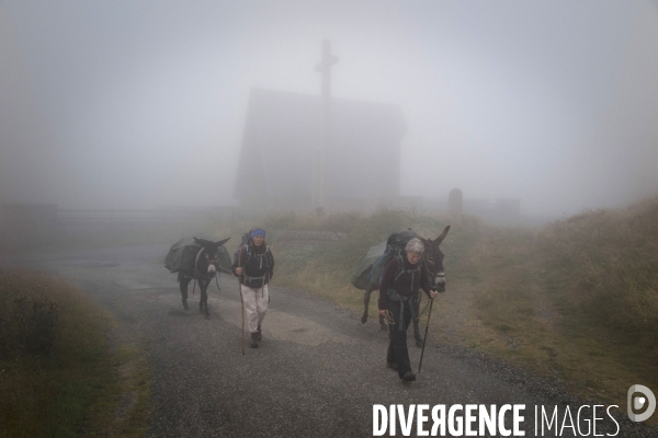 Les Pyrénées Au Pas de l Ane..