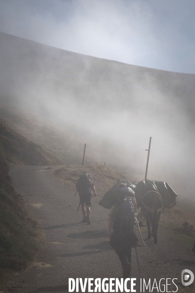 Les Pyrénées Au Pas de l Ane..