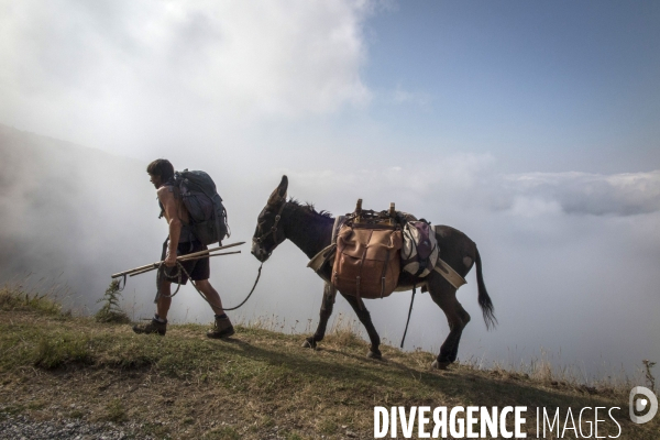 Les Pyrénées Au Pas de l Ane..