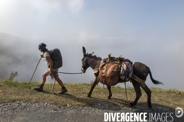 Les Pyrénées Au Pas de l Ane..