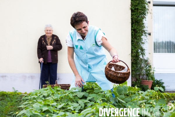 L aide à domicile en milieu rural