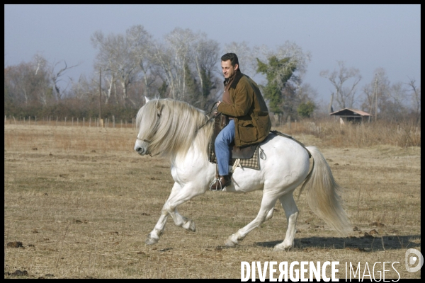 Deplacement de nicolas sarkozy en camargues