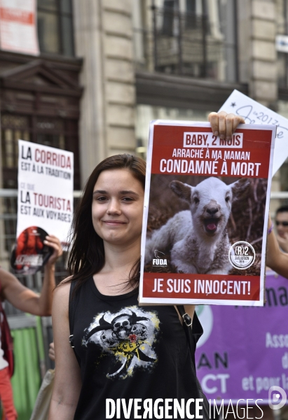 Cause animale : manifestation - en 2017 je vote -. Walk for the animals rights.