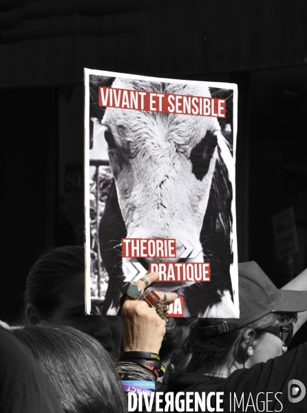 Cause animale : manifestation - en 2017 je vote -. Walk for the animals rights.