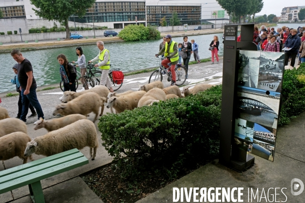 Visite-promenade en compagnie des bergers urbains a travers Saint Denis, pour decouvrir son patrimoine lors  des journees europeennes du patrimoine.