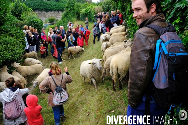 Visite-promenade en compagnie des bergers urbains a travers Saint Denis, pour decouvrir son patrimoine lors  des journees europeennes du patrimoine.