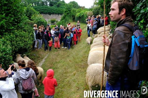 Visite-promenade en compagnie des bergers urbains a travers Saint Denis, pour decouvrir son patrimoine lors  des journees europeennes du patrimoine.