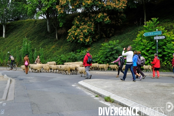 Visite-promenade en compagnie des bergers urbains a travers Saint Denis, pour decouvrir son patrimoine lors  des journees europeennes du patrimoine.