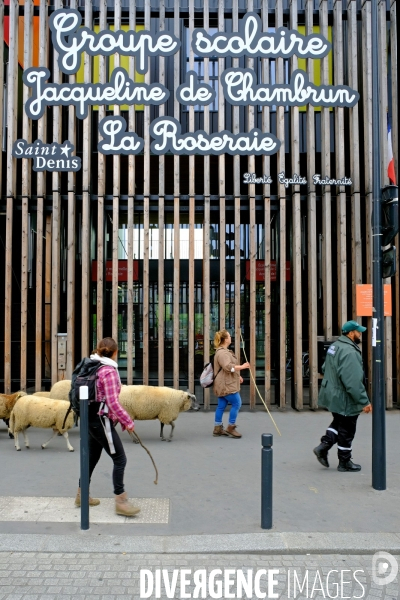 Visite-promenade en compagnie des bergers urbains a travers Saint Denis, pour decouvrir son patrimoine lors  des journees europeennes du patrimoine.