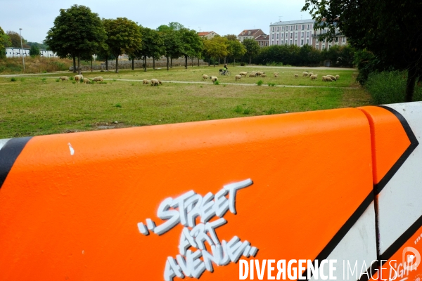 Visite-promenade en compagnie des bergers urbains a travers Saint Denis, pour decouvrir son patrimoine lors  des journees europeennes du patrimoine.