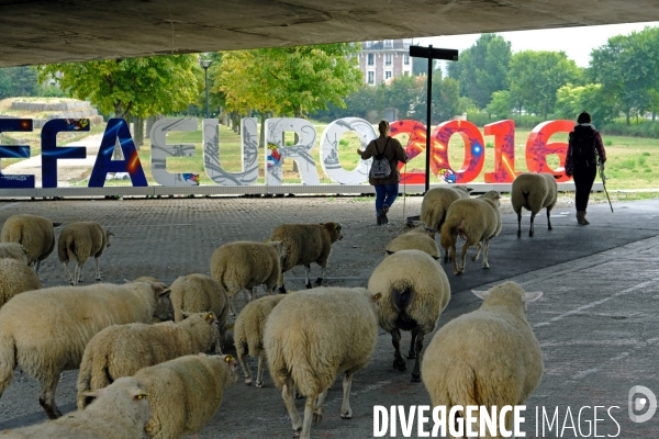 Visite-promenade en compagnie des bergers urbains a travers Saint Denis, pour decouvrir son patrimoine lors  des journees europeennes du patrimoine.