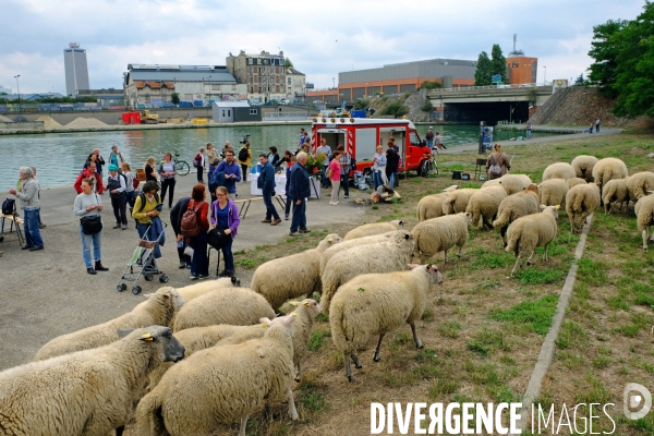 Visite-promenade en compagnie des bergers urbains a travers Saint Denis, pour decouvrir son patrimoine lors  des journees europeennes du patrimoine.