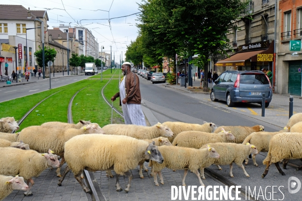 Visite-promenade en compagnie des bergers urbains a travers Saint Denis, pour decouvrir son patrimoine lors  des journees europeennes du patrimoine.