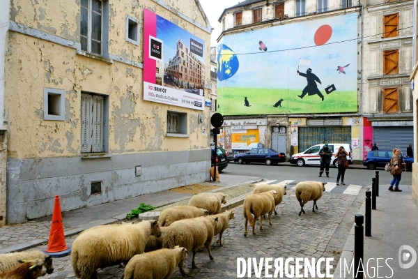 Visite-promenade en compagnie des bergers urbains a travers Saint Denis, pour decouvrir son patrimoine lors  des journees europeennes du patrimoine.