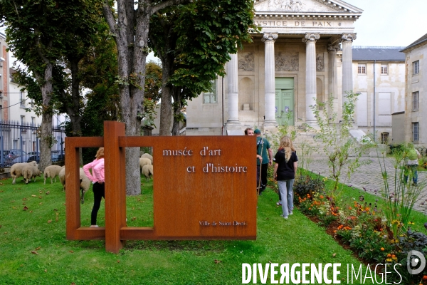 Visite-promenade en compagnie des bergers urbains a travers Saint Denis, pour decouvrir son patrimoine lors  des journees europeennes du patrimoine.