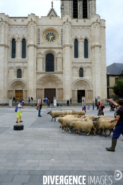 Visite-promenade en compagnie des bergers urbains a travers Saint Denis, pour decouvrir son patrimoine lors  des journees europeennes du patrimoine.