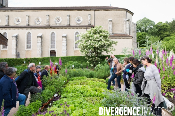 Semences hors-la-loi, le troc s organise