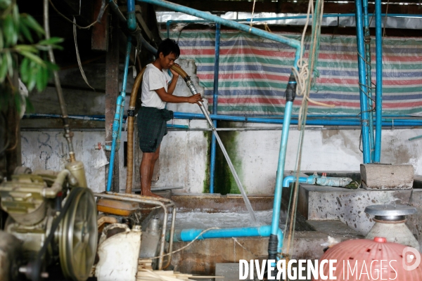 Fabrique de nouilles à Hsipaw