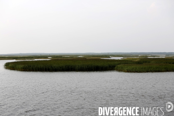 Ile de KIJI sur le lac Onega en Carelie