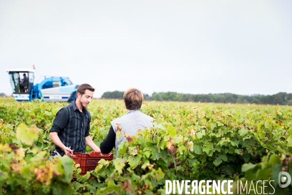 Vendanges 2016