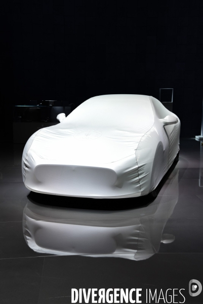 Mondial de l Automobile de Paris