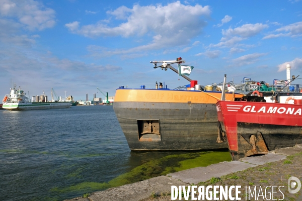 Anvers.Le port.Peniches et cargo dans le port