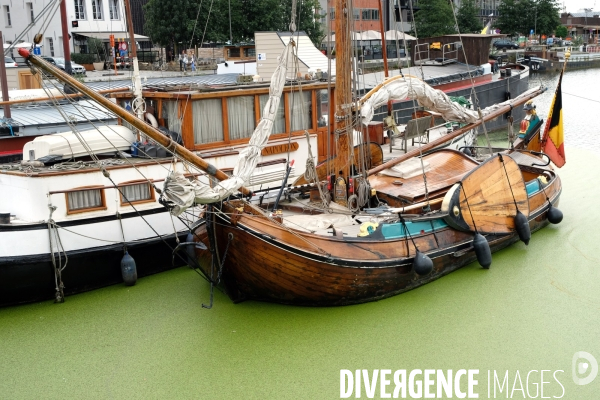 Le port d Anvers et la revitalisation de ses docks