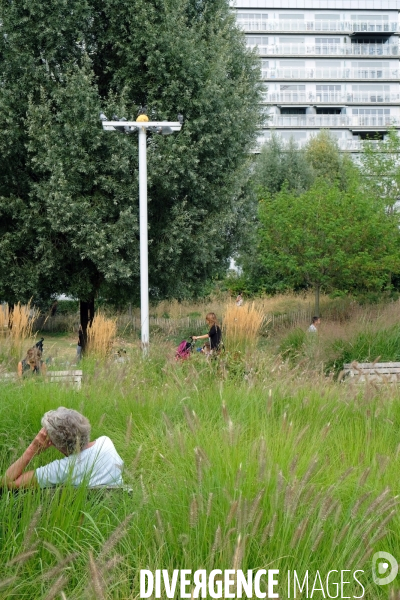 Illustration septembre2016.Au parc martin Luther King, une femme agee se repose sur un banc au milieu des hautes herbes