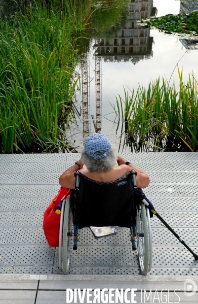 Illustration septembre2016.Handicape moteur en fauteuil roulant au parc martin luther King